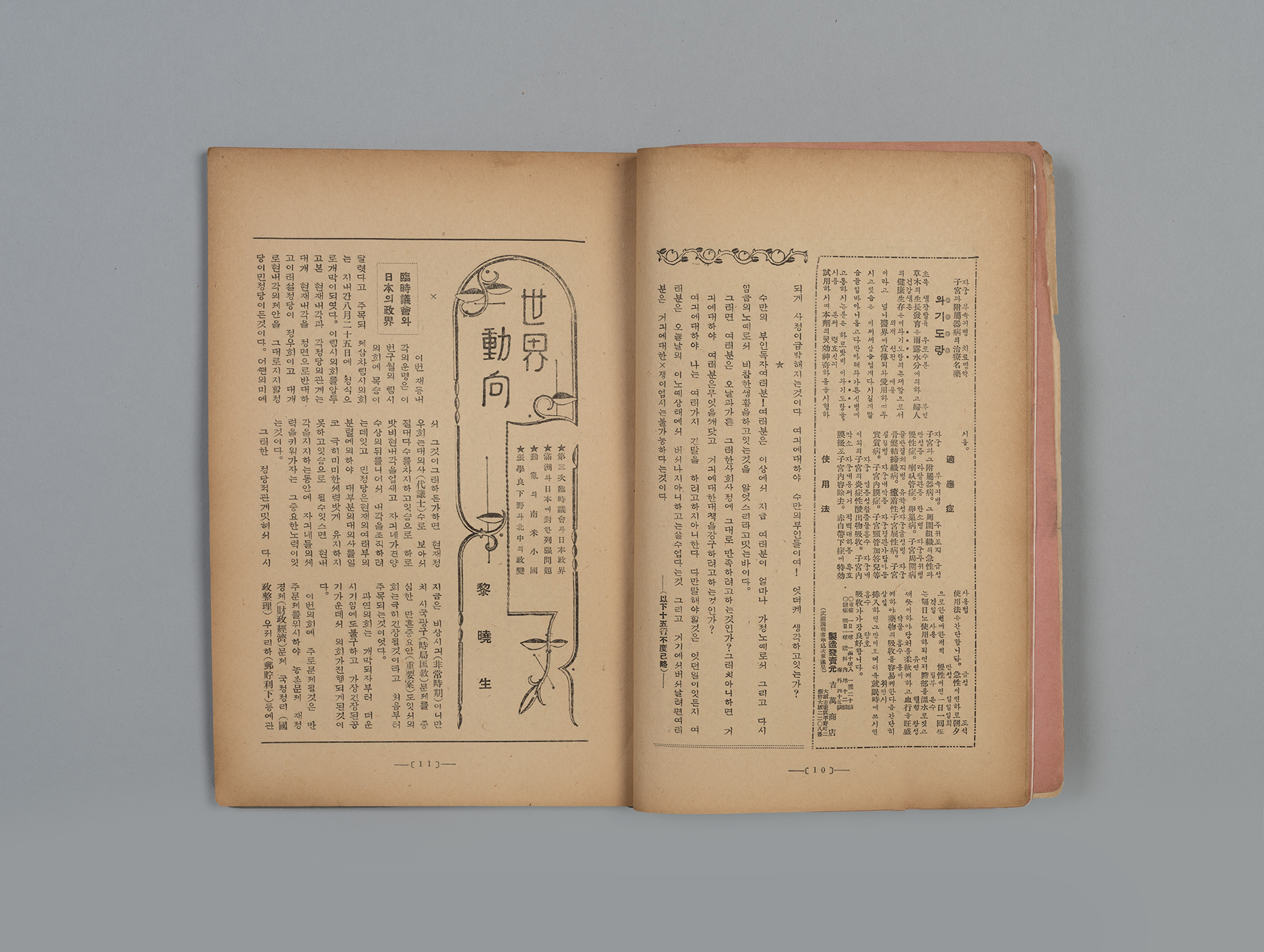 신여성(新女性) 제6권 10호(1932.10)15